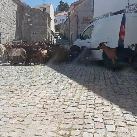 Casa Da Palheira Sabugueiro (Guarda)