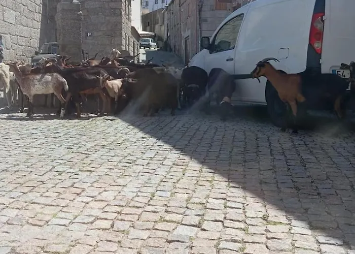 Casa Da Palheira Sabugueiro (Guarda)
